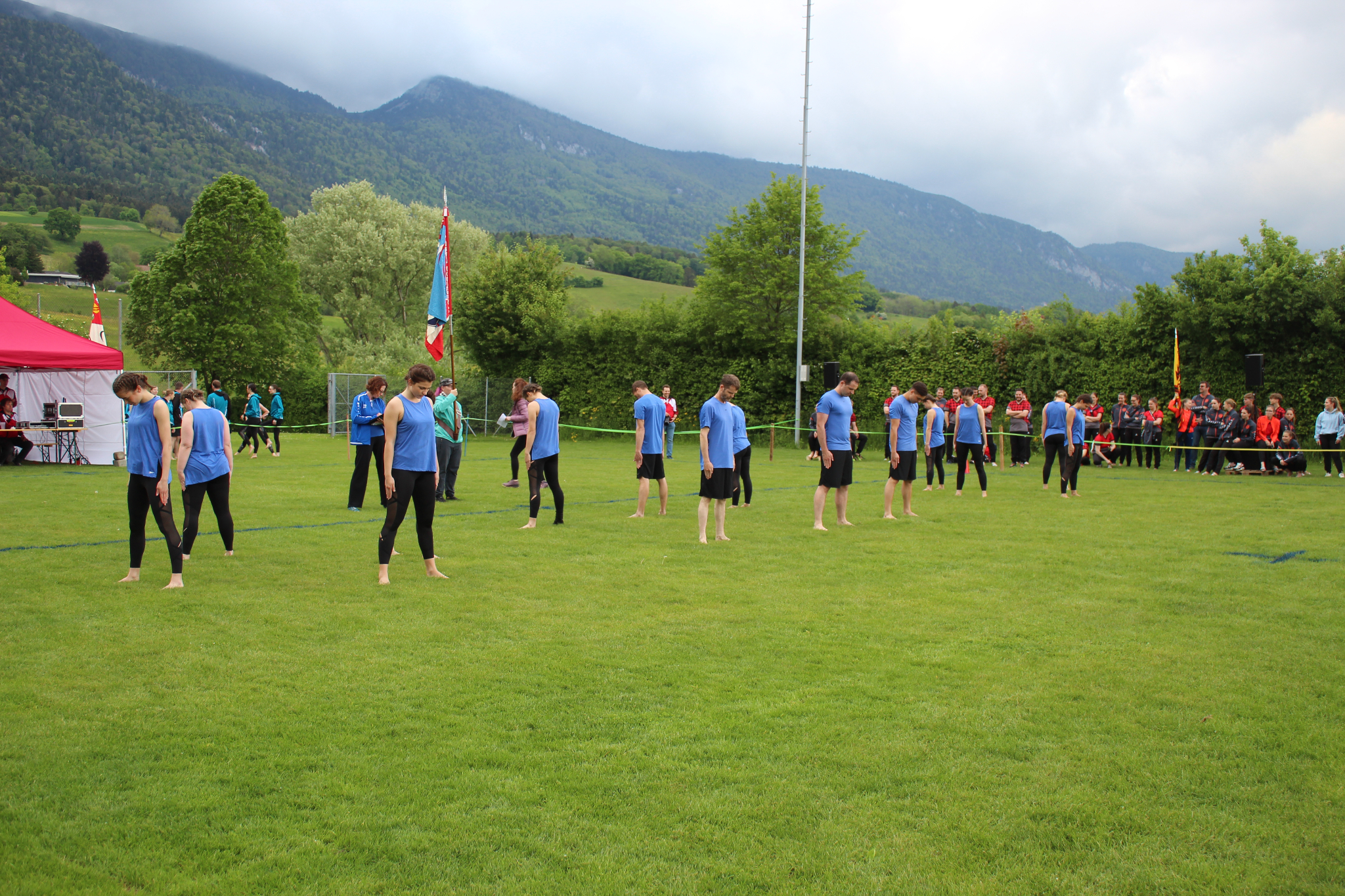 Bild (201)